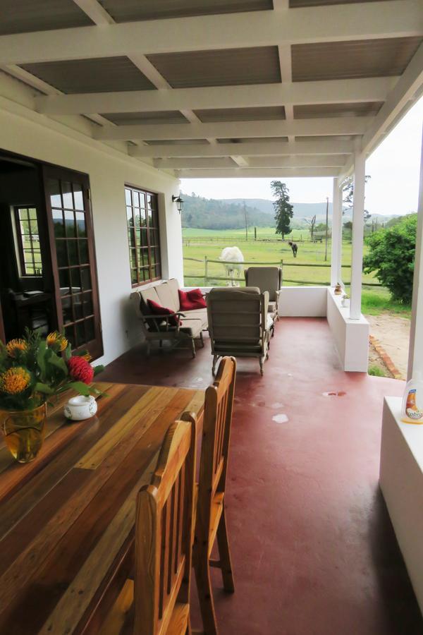Out Of Plett Villa Plettenberg Bay Exterior photo